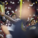 Georgia Bulldogs PK Jared Zirkel (99) holds up and celebrates with the National Championship Trophy after the Alabama Crimson Tide versus the Georgia Bulldogs in the College Football Playoff National Championship, on January 10, 2022, at Lucas Oil Stadium in Indianapolis, IN.